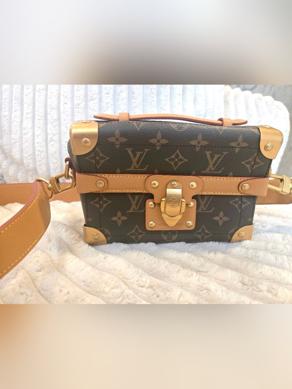 Designer Bag Trunk